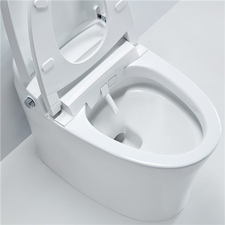 ICO-552 (2).jpg