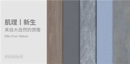 大板岩板瓷砖.png